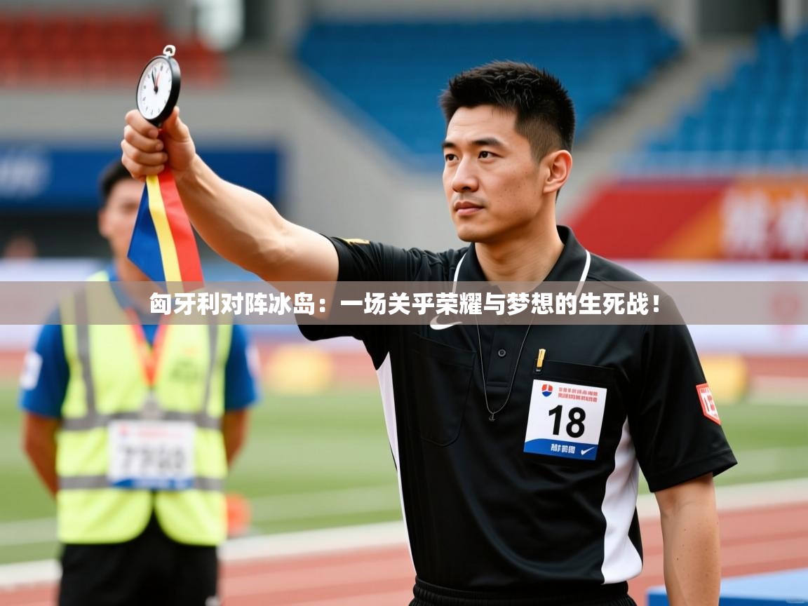 匈牙利对阵冰岛：一场关乎荣耀与梦想的生死战！  第1张