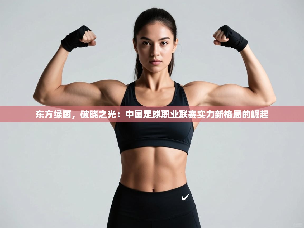 东方绿茵，破晓之光：中国足球职业联赛实力新格局的崛起  第1张