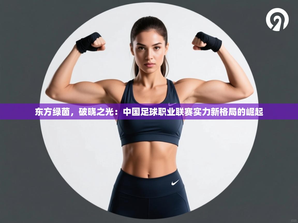 东方绿茵，破晓之光：中国足球职业联赛实力新格局的崛起  第2张